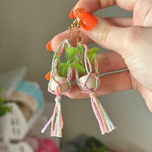 Load image into Gallery viewer, multi-coloured planter earrings
