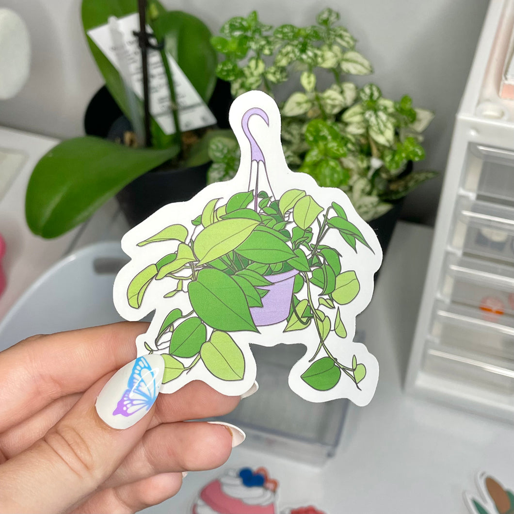 pothos plant sticker